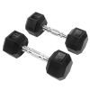 Dumbbells with Metal Handle, 10lbs,in Pairs Weight Dumbbells for Adults Women Men Workout Fitness,Home Gym Exercise Training Equipment