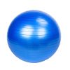 Free shipping 65cm Exercise Ball Extra Thick Professional Grade Balance & Stability Ball- Anti Burst Tested Supports YJ