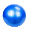 Free shipping 65cm Exercise Ball Extra Thick Professional Grade Balance & Stability Ball- Anti Burst Tested Supports YJ