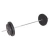 Barbell and Dumbbell Set 198.4 lb