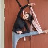 Flexible Gym Hanging Inversion Swing Aerial Yoga Hammock Stretcher Band Belt