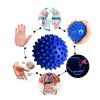 3Pcs Spiky Foot Roller Massage Ball Body Relax Pain Relief Back Leg Massager Set