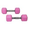 Rubber Coated Hex Dumbbell in Pairs Single